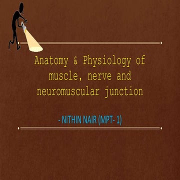 ANATOMY & PHYSIOLOGY OF NERVE, MUSCLE AND NMJ