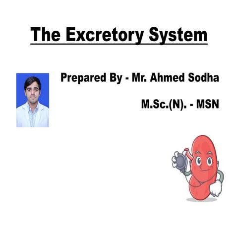 Anatomy & Physiology of Renal System.pptx