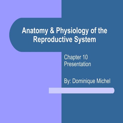 Anatomy & Physiology Of The Reproductive System