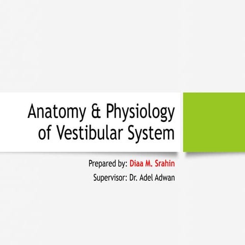 Anatomy & Physiology of Vestibular System
