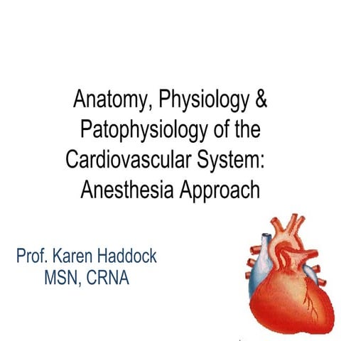 Anatomy, physiology & patophysiology of the cardiovascular