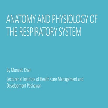 Anatomy and physiology of the respiratory system | PPTX