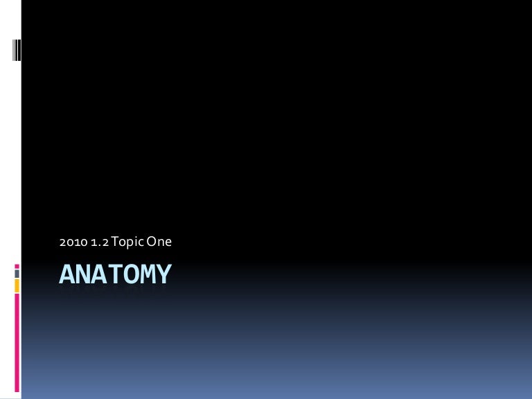 Anatomy powerpoint