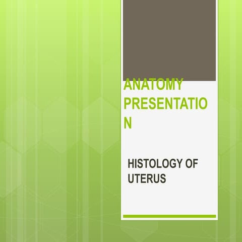 Histology of Uterus 