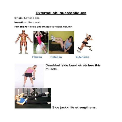 Exercises – mobility and stretches low back spinal twist (low back ...