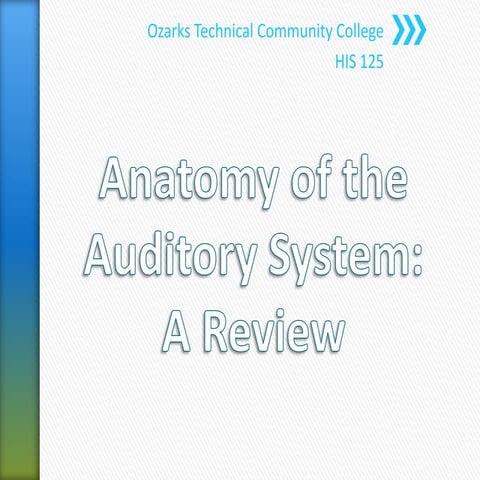 Anatomy of the Auditory System: A Review