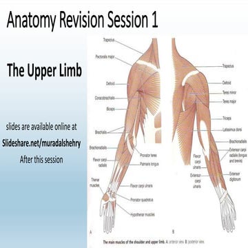 Anatomy revision course pt1