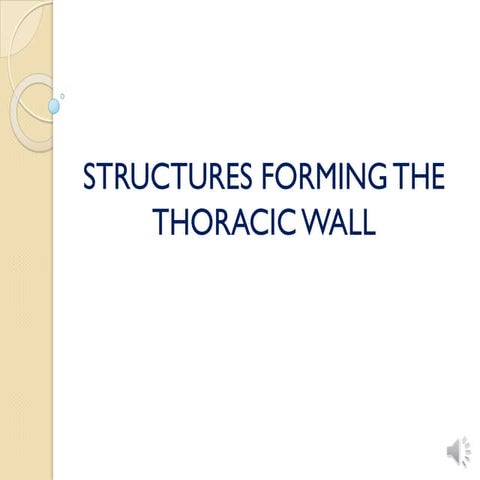JOINTS OF THORAX.pptx