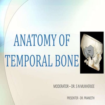 Anatomy temporal bone 