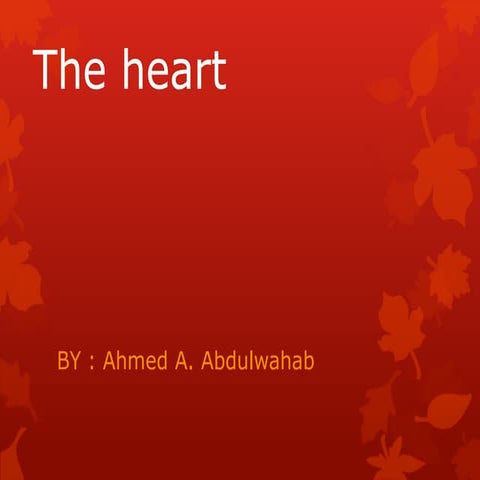 Anatomy (The Heart)