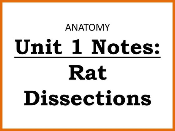 Anatomy unit 3 cardio and respiratory systems heart dissection notes | PPTX