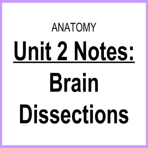 Anatomy unit 2 nervous system the brain notes | PPT