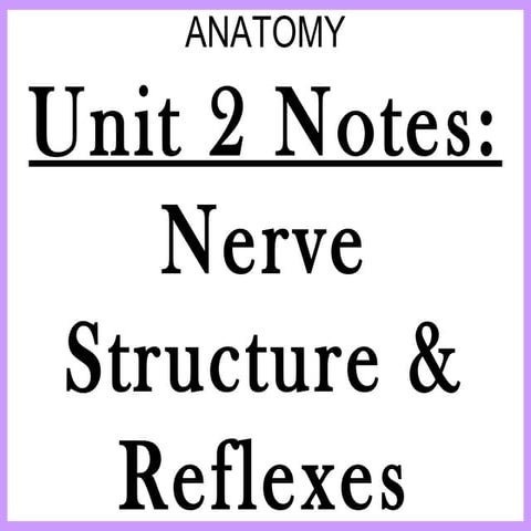 Anatomy unit 2 nervous system nerve structure and reflex notes | PPT