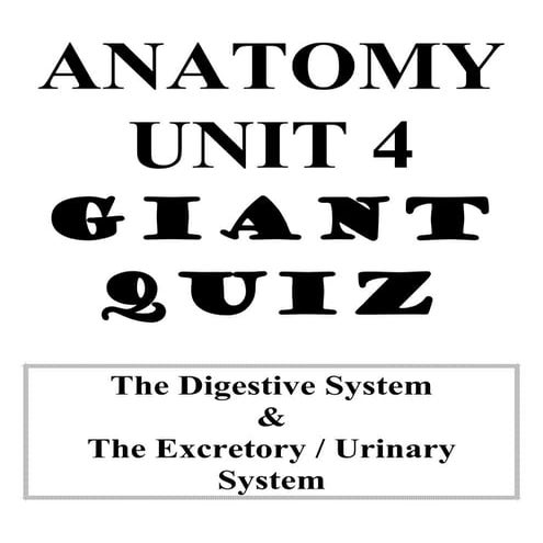 Anatomy unit 4 digestive and excretory systems big quiz review questions with...