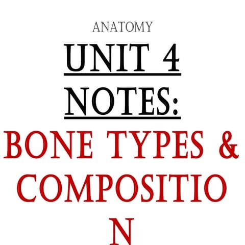 Anatomy Unit 4 Notes:  Bone Types, Function, The Skeleton