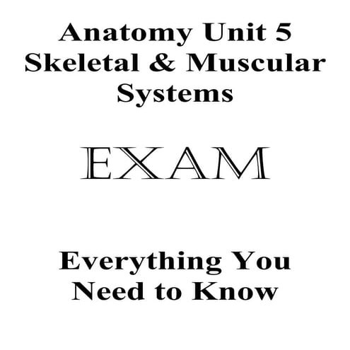 Anatomy unit 5 skeletal and muscular systems exam everything you need to know