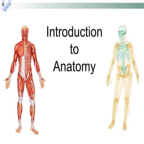anatomy upper limp.pdf subdivision gross,microscopicanatomy
