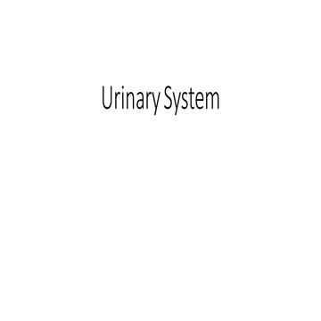 Anatomy Urinary System 2022-2023(01).pdf
