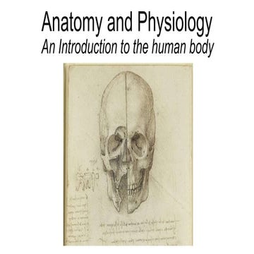 Anatomy and Physiology; Introduction to the human body