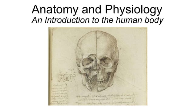 Anatomy and Physiology; Introduction to the human body