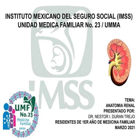 Anato y fisio renal 