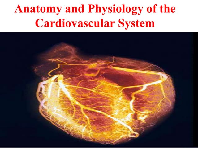 Anatomy of the Cardiovascular system | PPTX