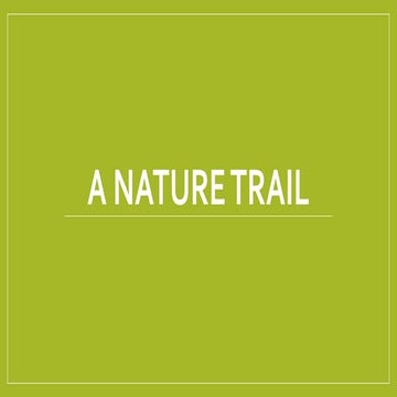 A nature trail