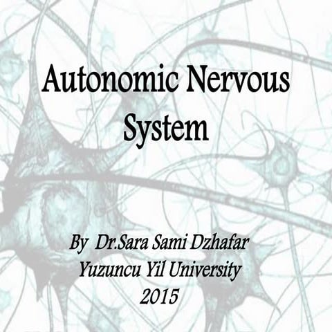  Autonomic Nervous system