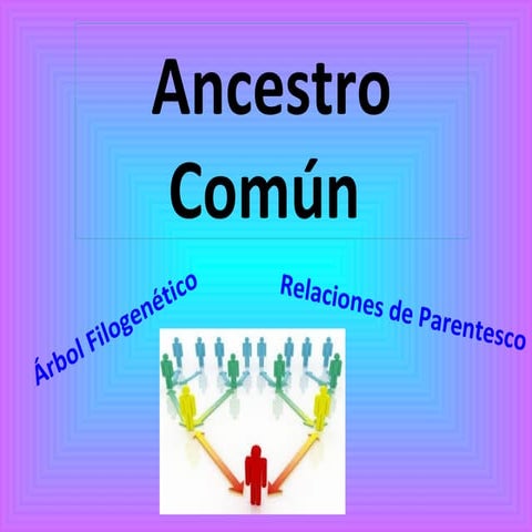 Ancestro Común