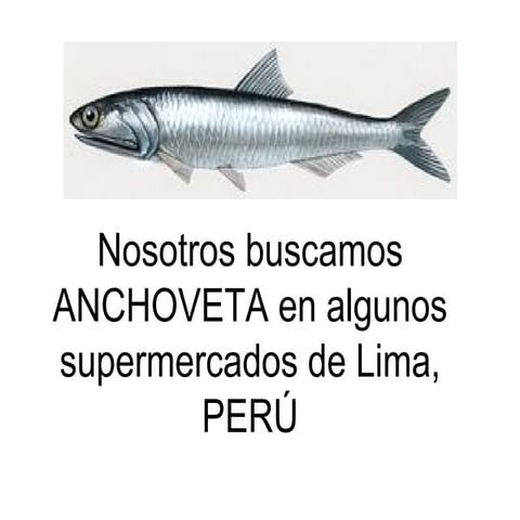 Anchoveta en supermercados del PERÚ
