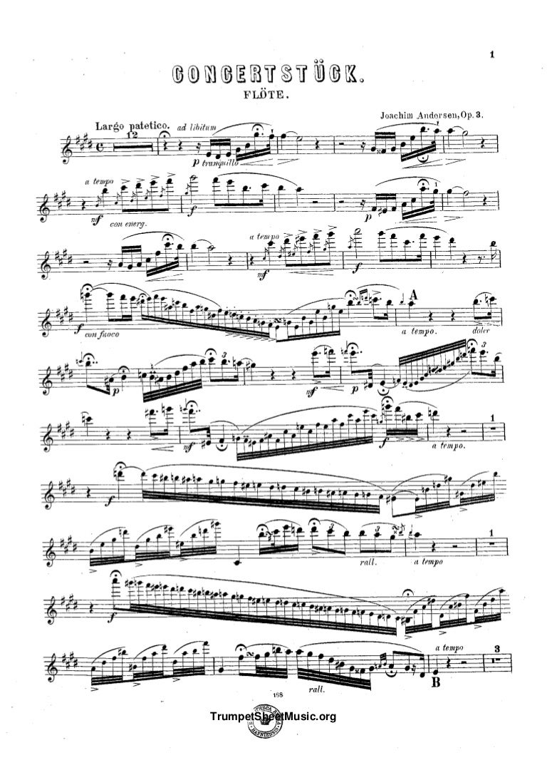 Andersen Concert Piece For Flute And Orchestra, Op.3 Solo Flute P…