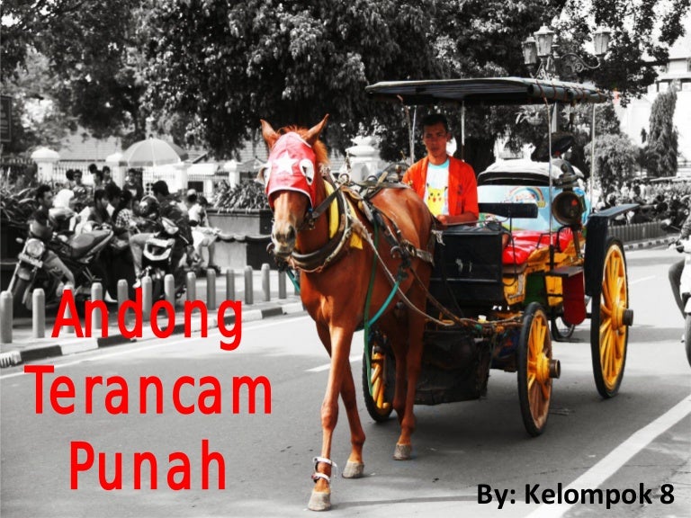 Observasi Andong Di Yogyakarta