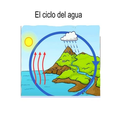 Andrea: ciclo del agua