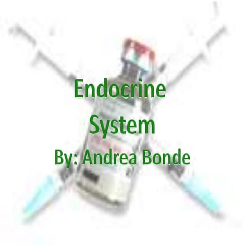 endocrine system