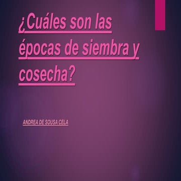 Andrea de Soussa  ¿Cuáles son las épocas de siembran y cosecha?