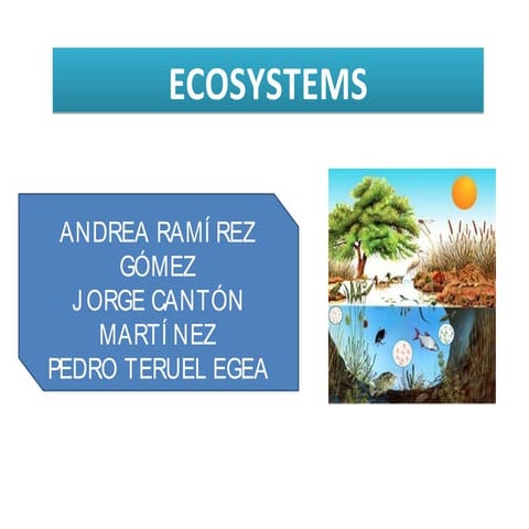 Andrea Jorge Cantón  y Pedro