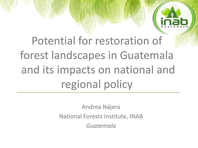 Potential for restoration of  forest landscapes in Guatemala  and its impacts on national and regional policy 