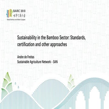 Andre de Freitas_Sustainability in the Bamboo Sector