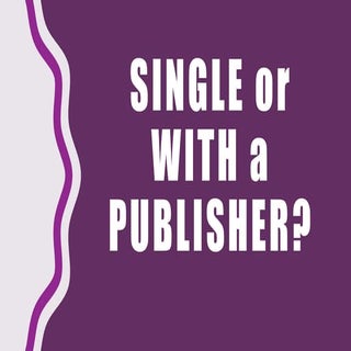 Andreea Chifu, Paradox Interactive