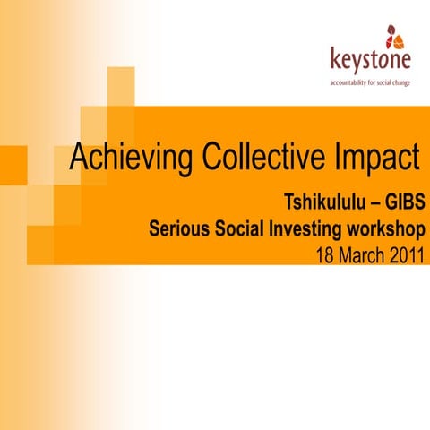 Achieving collective impact - Serious Social Investing 2011