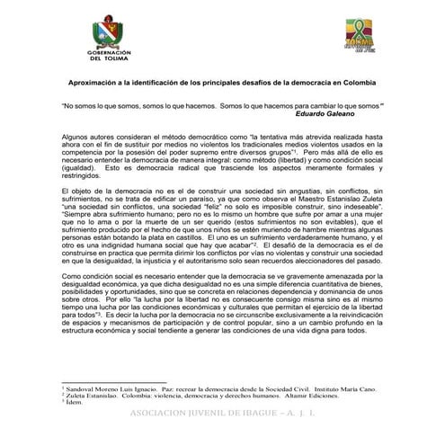 "La Voz de los Jóvenes" - IBAGUÉ año 2003, Comuna 8
