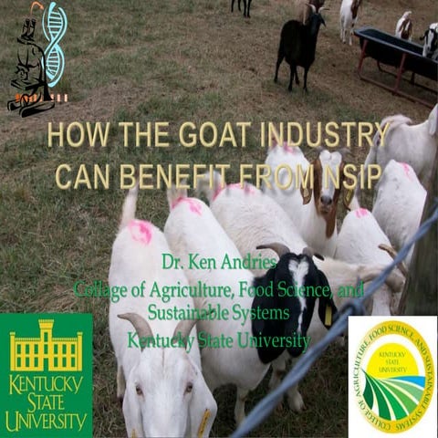 How the goat industry can benefit from NSIP