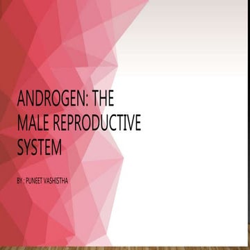 Androgen: the male reproductive system