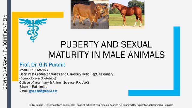 Lecture 3 estrous cycle and estrus signs in domestic animals | PDF