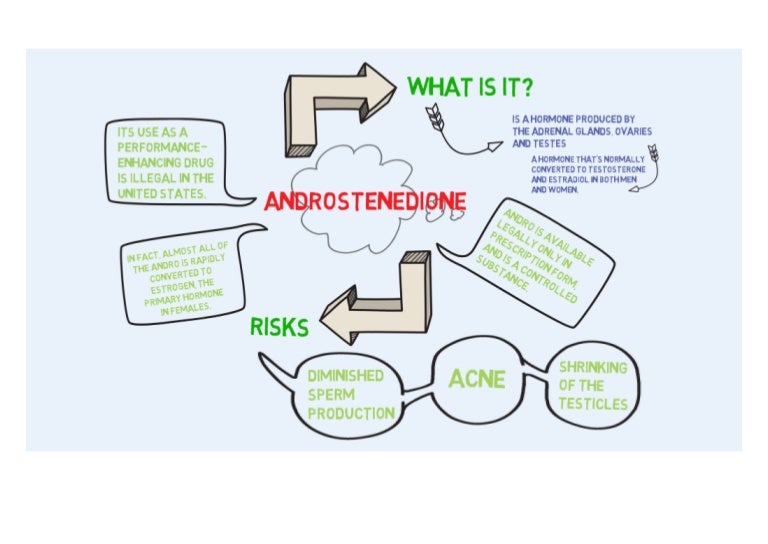 Androstenedione
