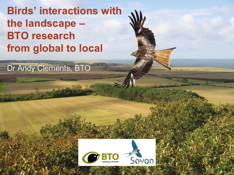 Birds' interactions with the landscape - BTO research from global to