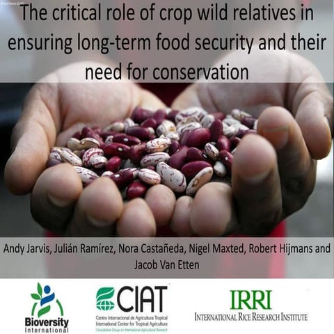 Crop Wild Relatives On the Rise