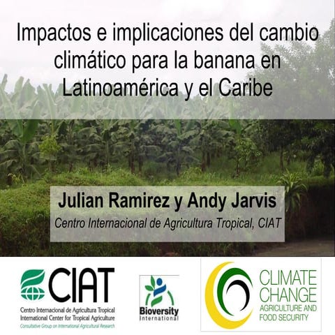Cambio climatico y bananas en America Latina