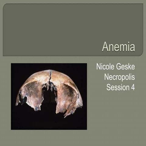 Sanisera Fieldschool 2010, session 4: Nicole Geske, Anemia