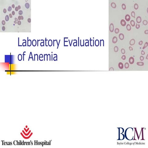 Anemia types and role of iron to raisese